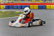DSC_ (1911)